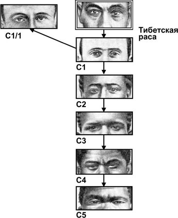 Эрнст Мулдашев - От кого мы произошли?