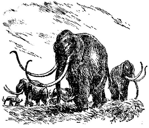 Жозеф Рони-старший - Борьба за огонь. Доисторический роман