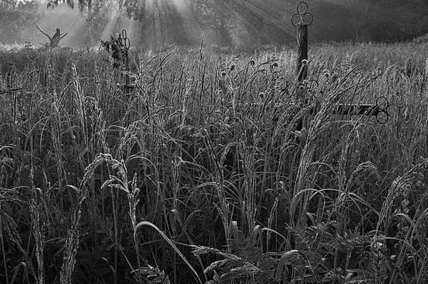 Олег Ермаков - Вокруг света