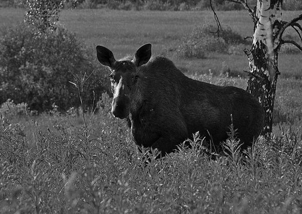 Олег Ермаков - Вокруг света