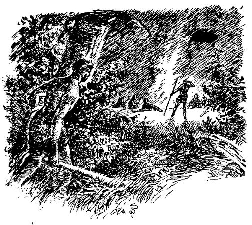 Жозеф Рони-старший - Борьба за огонь. Доисторический роман