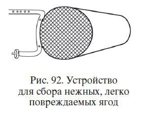 Николай Звонарев - Садово-огородные хитрости. Постройки и инвентарь