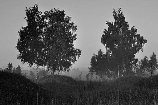 Олег Ермаков - Вокруг света