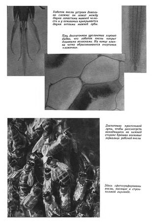 Иосиф Халифман - Пароль скрещенных антенн