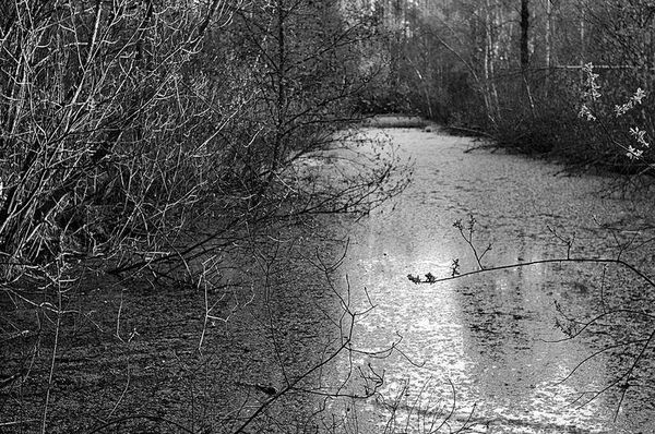 Олег Ермаков - Вокруг света