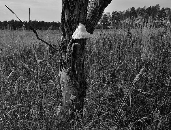 Олег Ермаков - Вокруг света