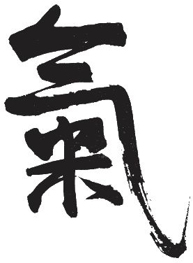 Алексей Маслов - Тайный код китайского кунфу