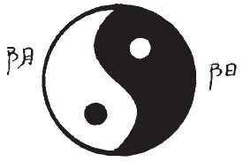 Алексей Маслов - Тайный код китайского кунфу