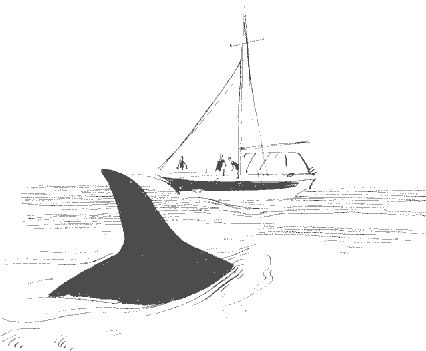 Аркадий Тигай - Под парусом вокруг Старого Света: Записки мечтательной вороны