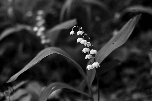 Олег Ермаков - Вокруг света