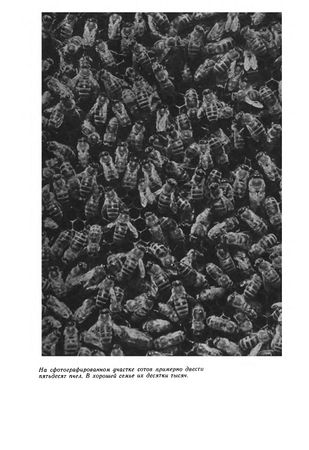 Иосиф Халифман - Пароль скрещенных антенн