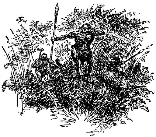 Жозеф Рони-старший - Борьба за огонь. Доисторический роман