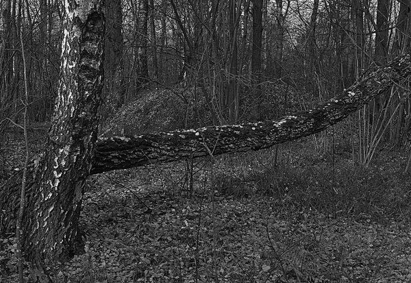 Олег Ермаков - Вокруг света