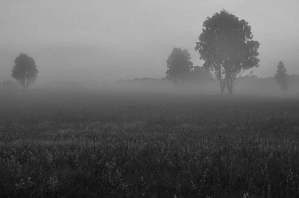 Олег Ермаков - Вокруг света