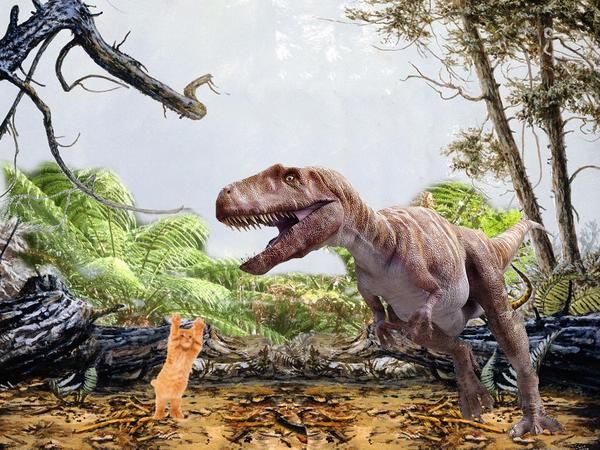 Саша Суздаль - Кот в красной шляпе