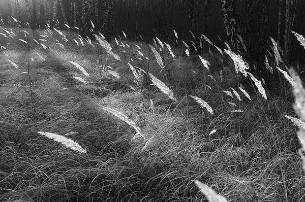 Олег Ермаков - Вокруг света