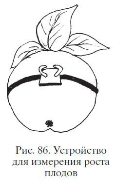 Николай Звонарев - Садово-огородные хитрости. Постройки и инвентарь