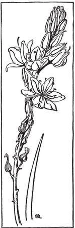 Чарльз Квеннелл, Марджори Квеннелл - Гомеровская Греция. Быт, религия, культура