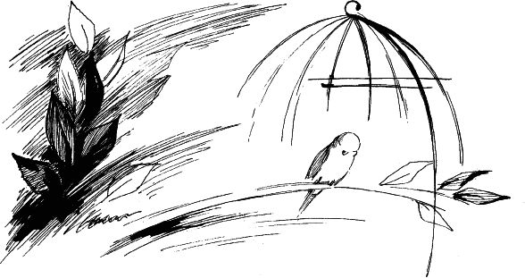 Татьяна Афанасьева, Константин Сумнительный и др. - Я люблю Монтессори