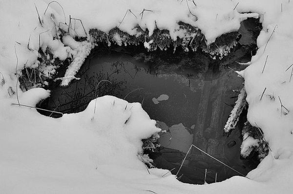 Олег Ермаков - Вокруг света