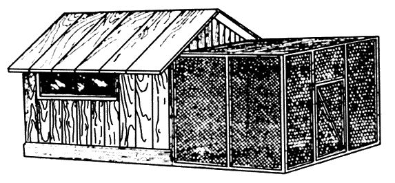 Юрий Пернатьев - Разведение и выращивание индюков, перепелок и цесарок