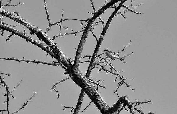 Олег Ермаков - Вокруг света