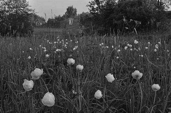 Олег Ермаков - Вокруг света