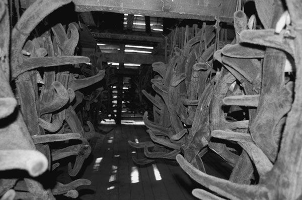 Сергей Бурыгин - Алтай. Жемчужина и сердце Евразии