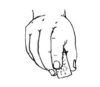 Татьяна Афанасьева, Константин Сумнительный и др. - Я люблю Монтессори