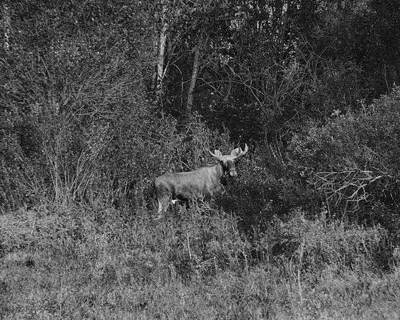 Олег Ермаков - Вокруг света