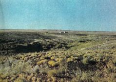 Тропинки в загадочный мир