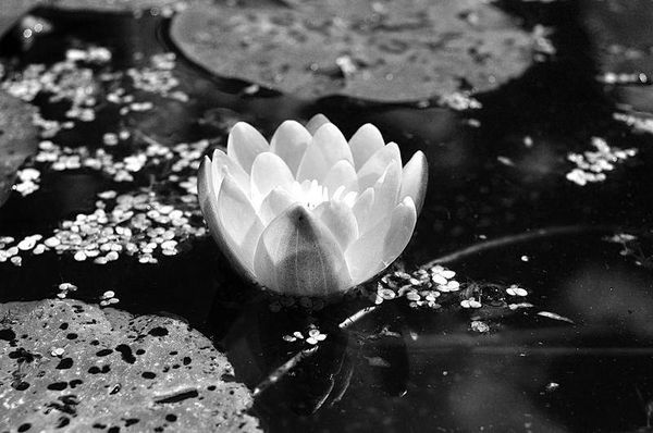 Олег Ермаков - Вокруг света