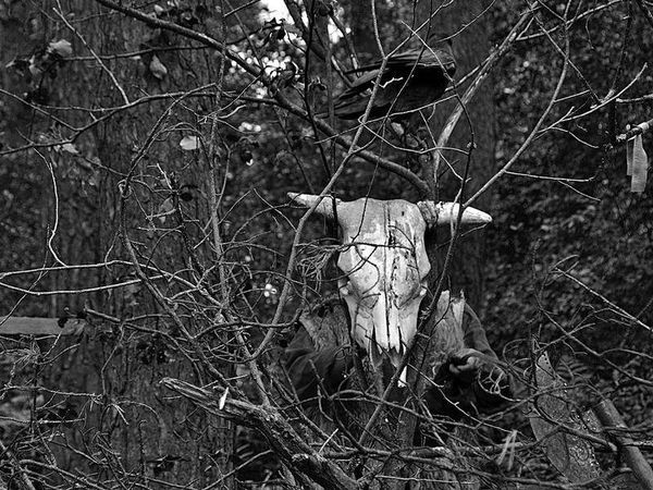 Олег Ермаков - Вокруг света