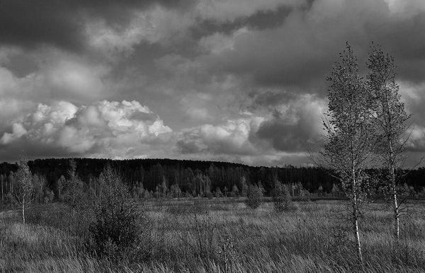 Олег Ермаков - Вокруг света