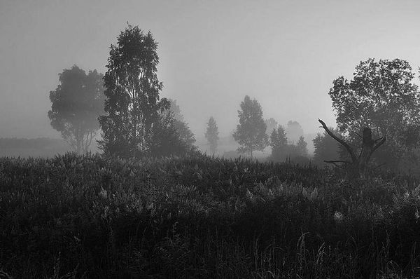 Олег Ермаков - Вокруг света