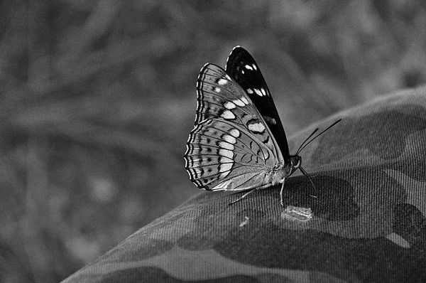 Олег Ермаков - Вокруг света