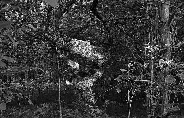 Олег Ермаков - Вокруг света