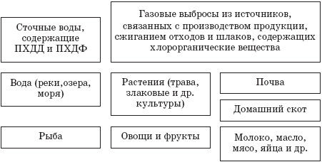 Ольга Мизирева, Любовь Губарева и др. - Экология человека: практикум для вузов
