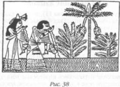 Захария Ситчин - Божество 12-й планеты