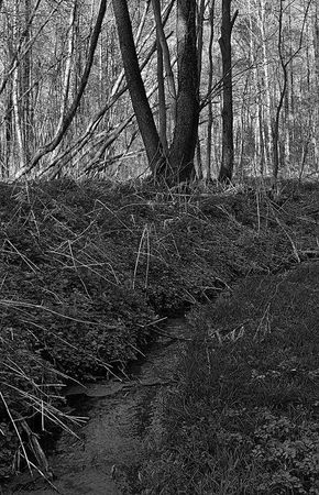 Олег Ермаков - Вокруг света