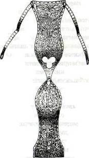 Эдуард Фукс - Istoria_nravov