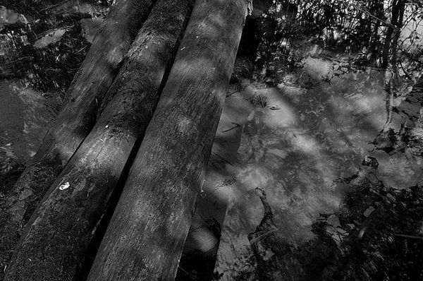 Олег Ермаков - Вокруг света