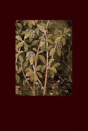 Роман Шмараков - ПОД БУКОВЫМ КРОВОМ