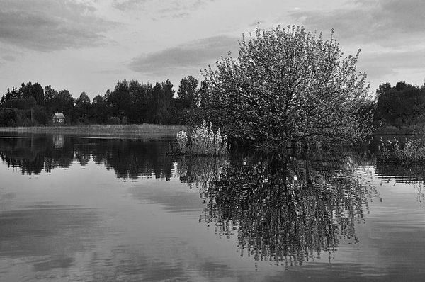 Олег Ермаков - Вокруг света