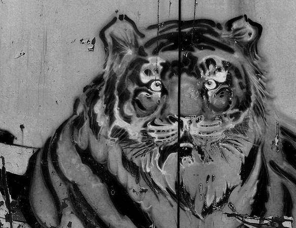 Олег Ермаков - Вокруг света