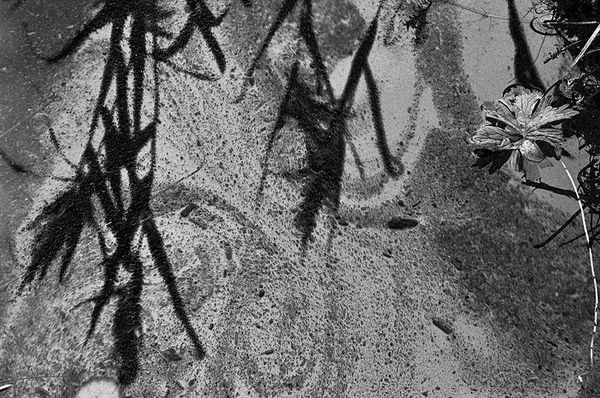 Олег Ермаков - Вокруг света