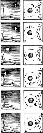 Алексей Кононенко - Энциклопедия славянской культуры, письменности и мифологии