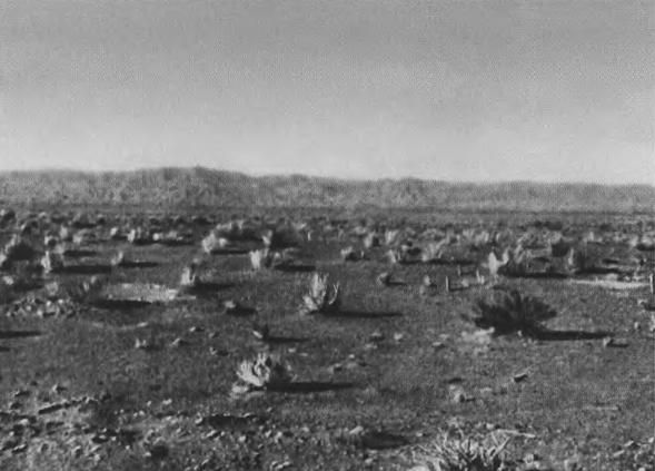 Жан-Поль Ру - Тамерлан