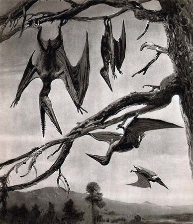 Йозеф Аугуста, Зденек Буриан - Летающие ящеры и древние птицы