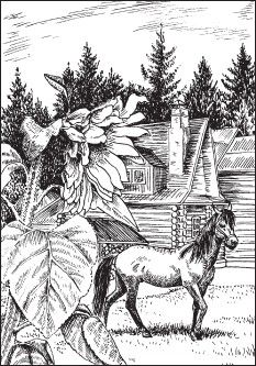 Ирина Зайцева - Приобретаем и продаем дачу